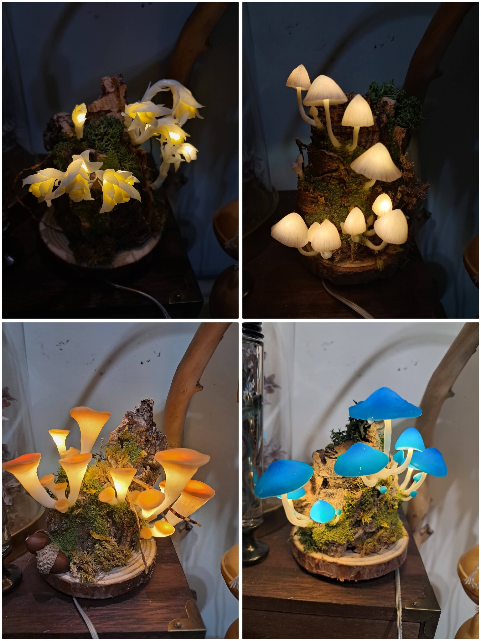 養蜥殿造辦處